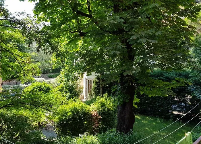 Lo Scoiattolo Verona