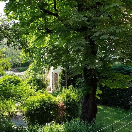 Lo Scoiattolo Verona